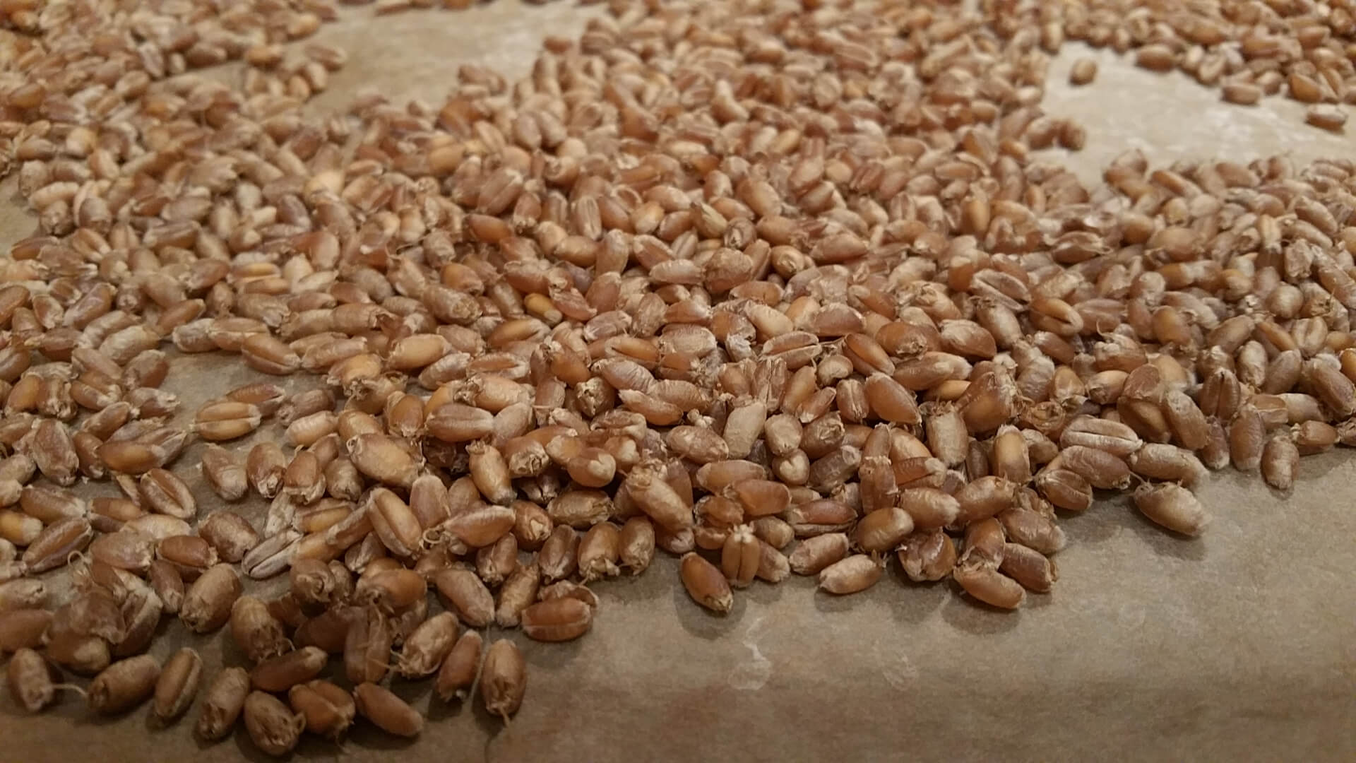 Backmalz selbst herstellen - The Apricot Lady