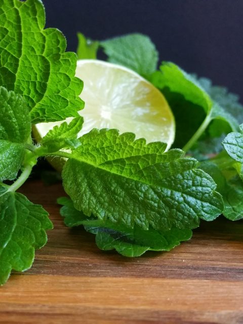 Zitronenmelissensirup mit Limetten