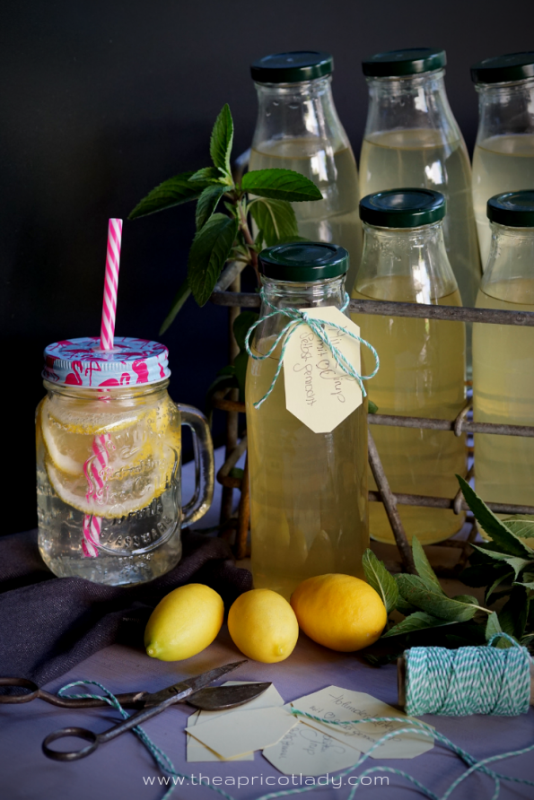 Rezept für Minz-Sirup. #kochen #rezepte #sirup #minze #mint #selbstgemacht