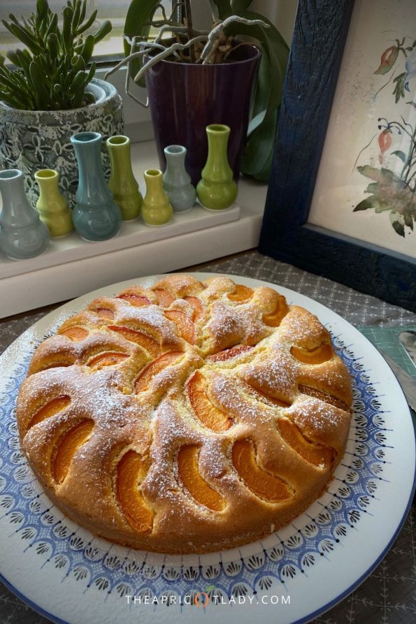 österreichischer Marillenkuchen - The Apricot Lady