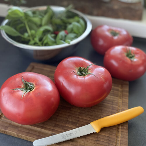 Tomaten am Brett und Kräuter